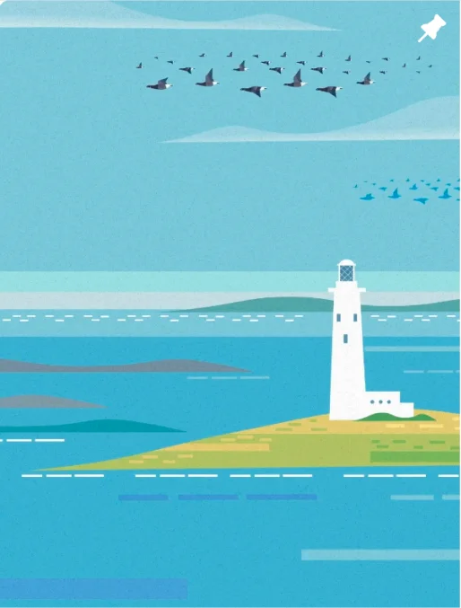 Bird Aware coastal illustration.