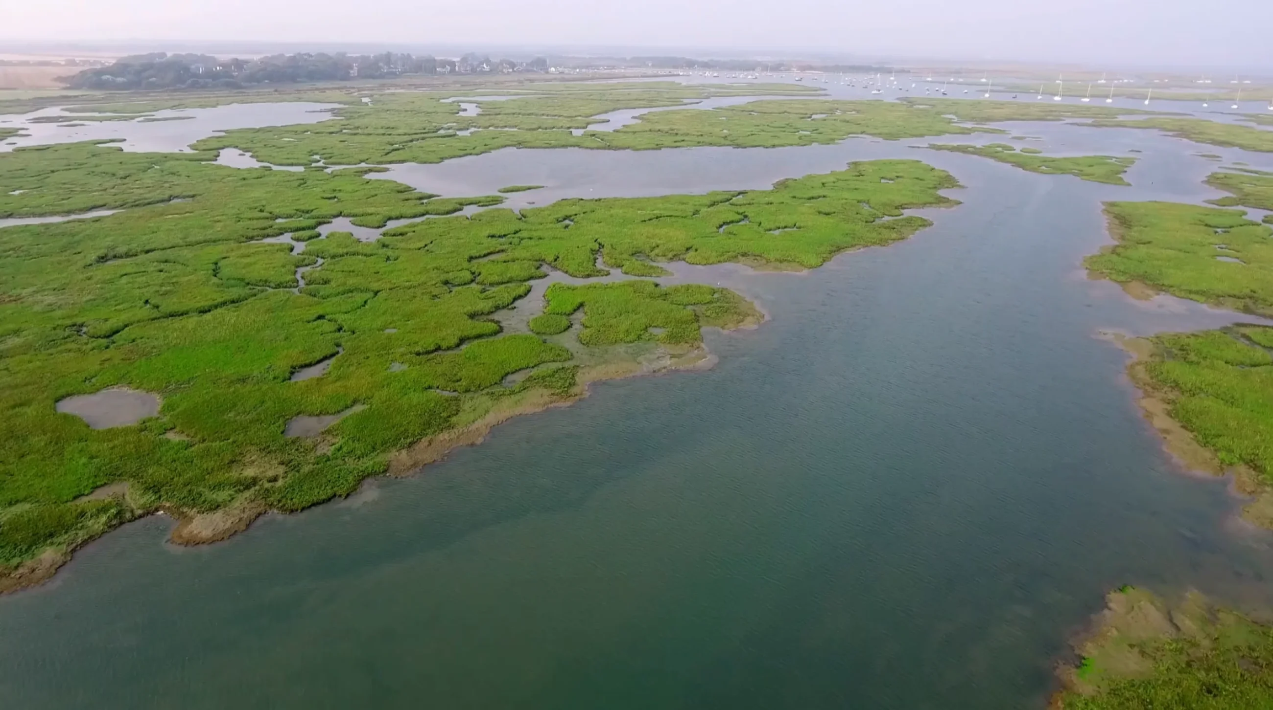 Aerial view of saltmarsh and waterways along the Solent.